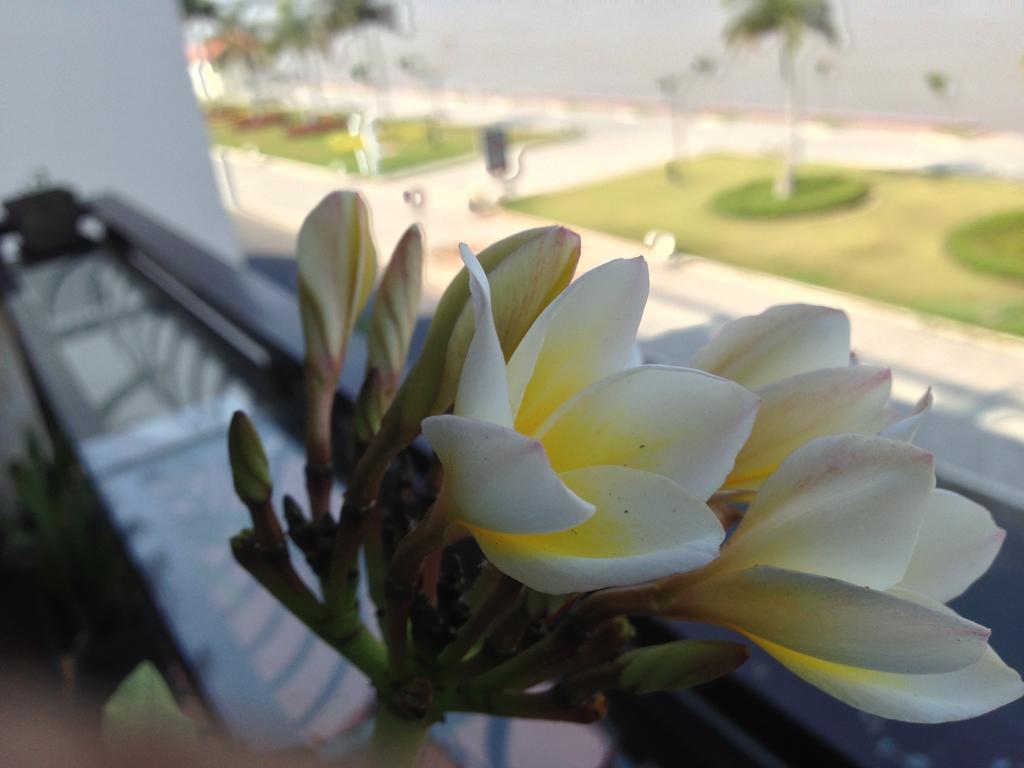 New Season Riverside Hotel 3*